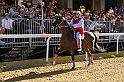 Palio2016_044