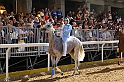 Palio2016_046