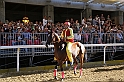 Palio2016_047