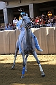 Palio2016_048