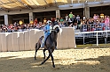 Palio2016_049