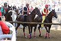 Palio2016_051