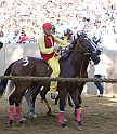 Palio2016_052