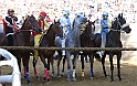 Palio2016_053
