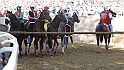 Palio2016_056