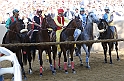 Palio2016_057