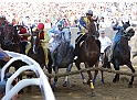 Palio2016_059