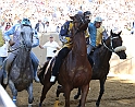 Palio2016_060