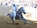 Palio2016_061