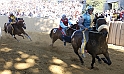 Palio2016_063