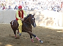 Palio2016_065
