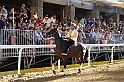 Palio2016_077