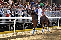 Palio2016_078