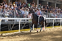 Palio2016_079