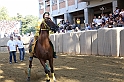 Palio2016_086