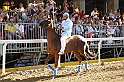 Palio2016_087