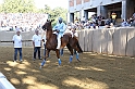 Palio2016_088