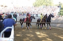 Palio2016_092