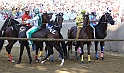 Palio2016_094