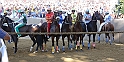 Palio2016_095