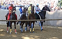Palio2016_096