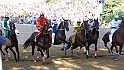 Palio2016_099
