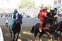 Palio2016_100