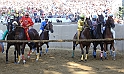 Palio2016_102