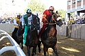 Palio2016_104