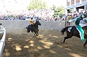 Palio2016_107