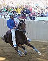 Palio2016_108