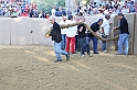 Palio2016_126