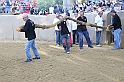 Palio2016_127