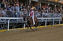 Palio2016_130