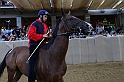 Palio2016_135
