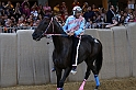 Palio2016_136