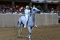 Palio2016_138