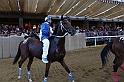 Palio2016_141