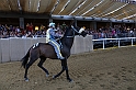 Palio2016_142