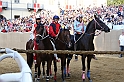 Palio2016_147