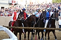 Palio2016_149
