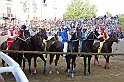 Palio2016_150