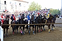 Palio2016_153