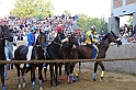 Palio2016_154
