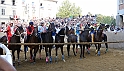Palio2016_155
