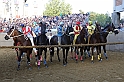 Palio2016_160