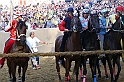 Palio2016_162