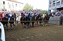 Palio2016_163