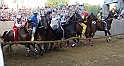 Palio2016_164