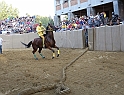 Palio2016_165
